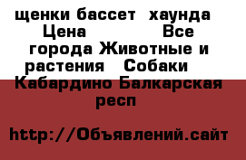 щенки бассет- хаунда › Цена ­ 20 000 - Все города Животные и растения » Собаки   . Кабардино-Балкарская респ.
